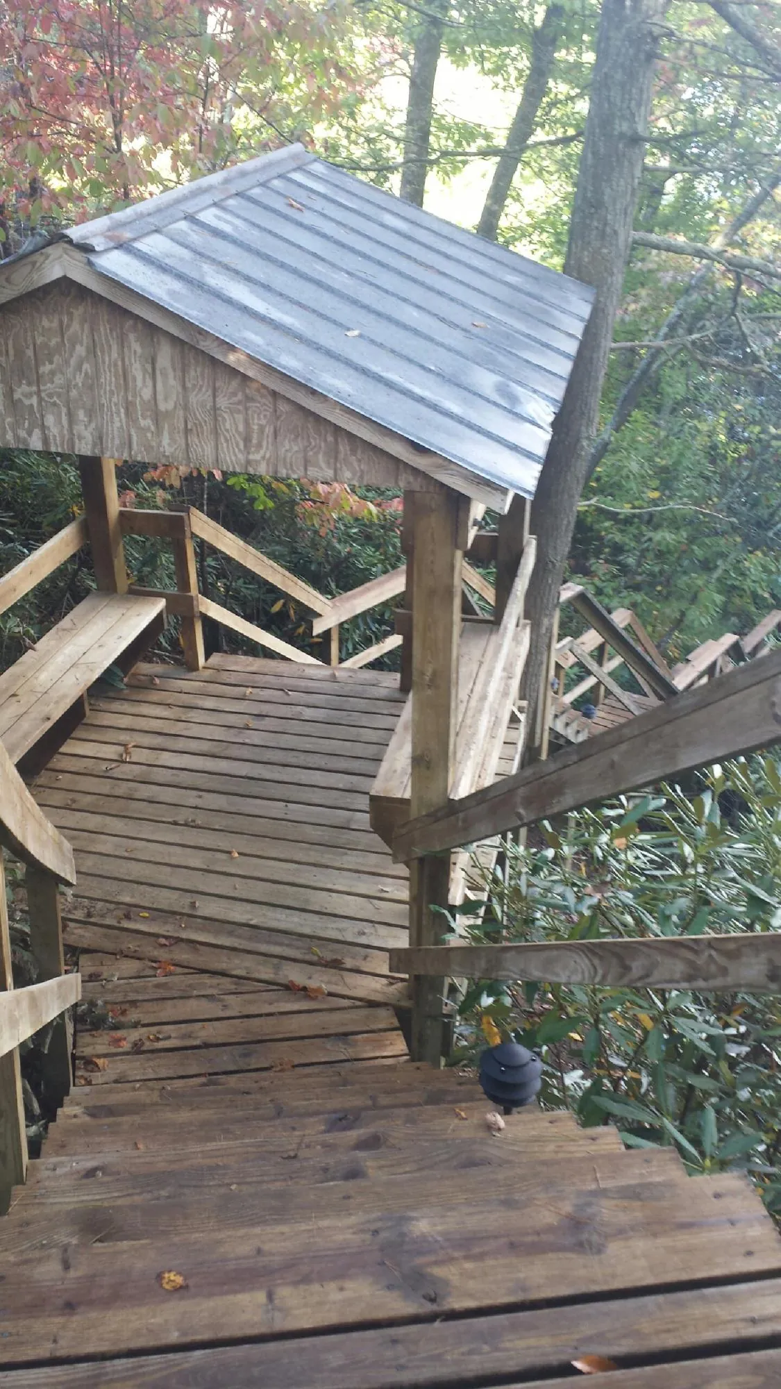 Metal roofed shelter over wooden steps on a wooded walkway — Skylight Repair & Installation work by our crew in Rochert